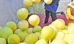 金秋柚最新爆料,揭秘娱乐圈最新热点事件